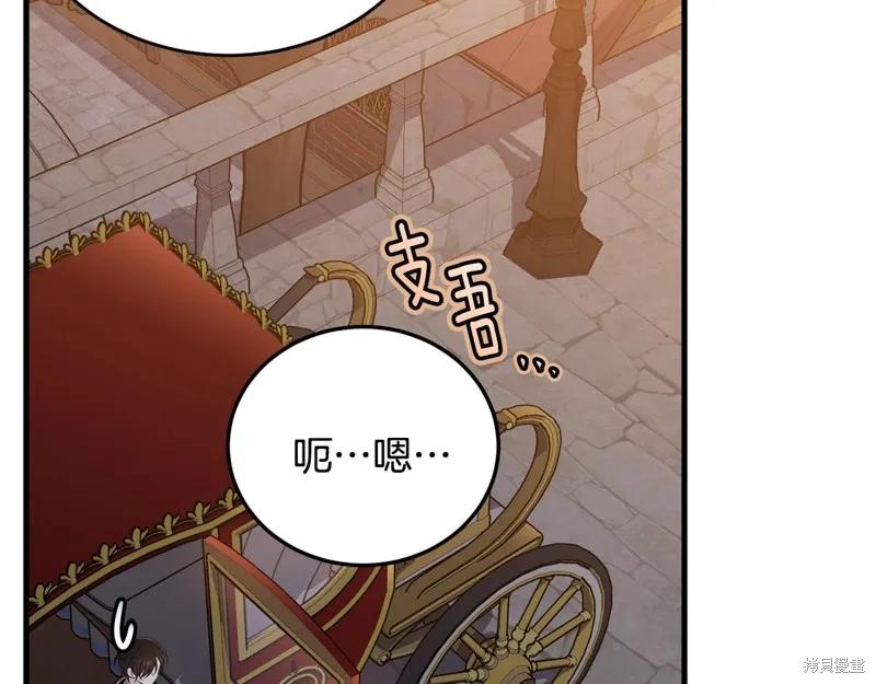 《明明是冷美人小姐却变成了忠犬大少爷》第74话 第46页