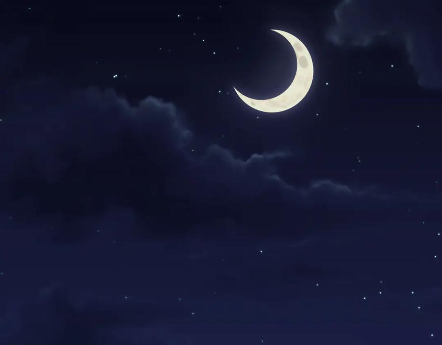 《偏见》17 洞穴中的隐秘时光 第62页