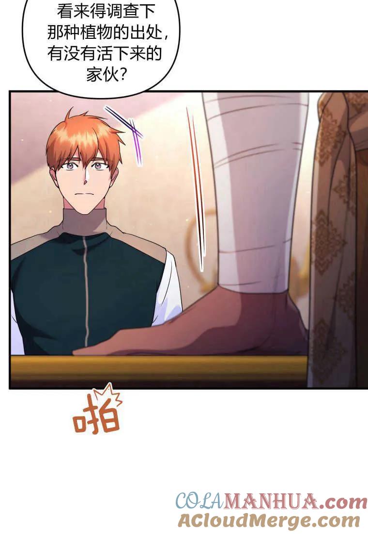 成为苏尔坦珍爱的猫咪 第29话 第29页
