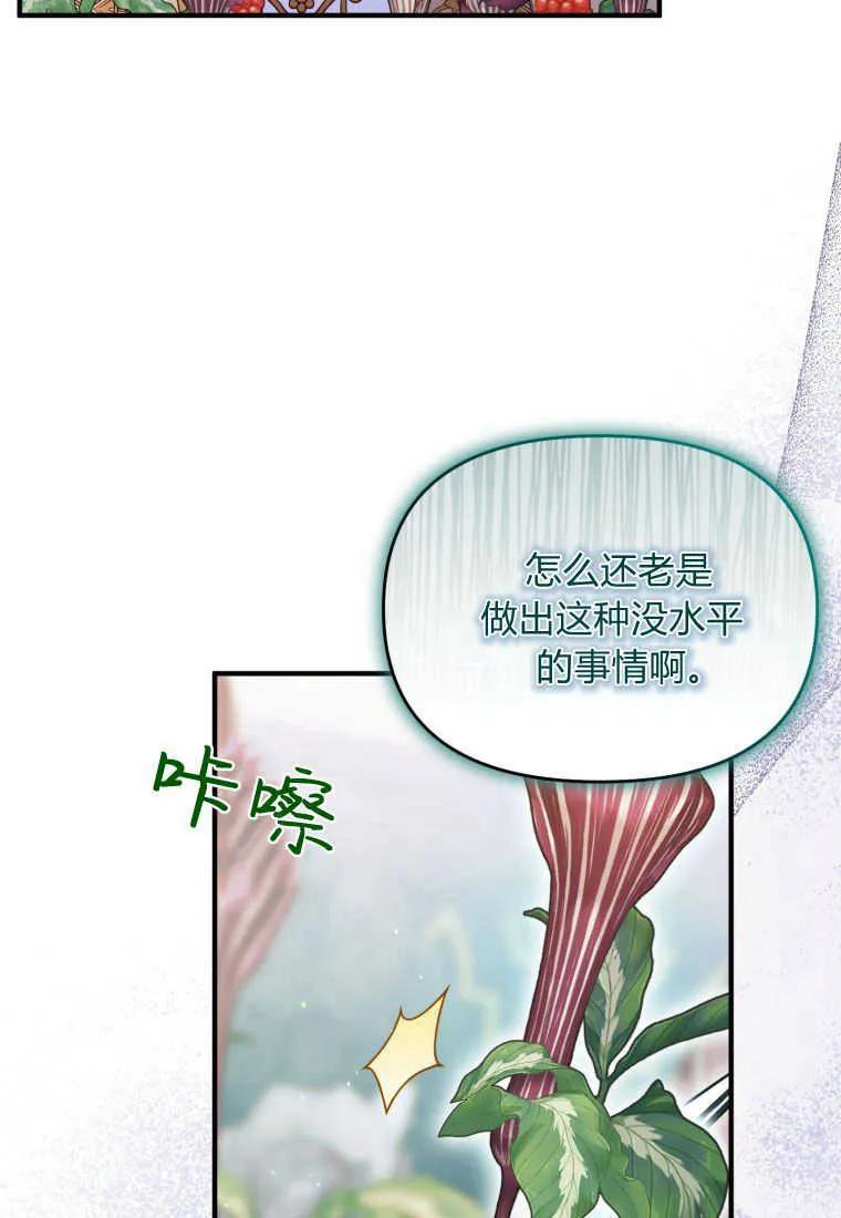 成为苏尔坦珍爱的猫咪 第29话 第54页