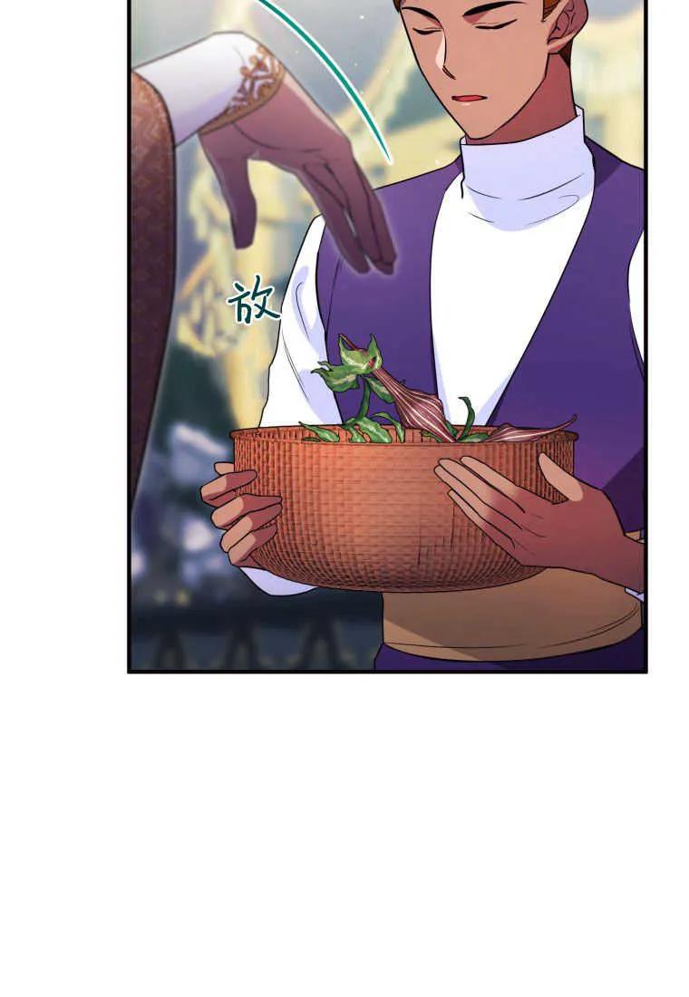 成为苏尔坦珍爱的猫咪 第29话 第58页