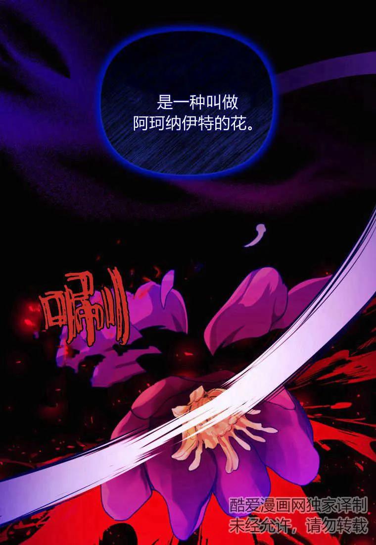成为苏尔坦珍爱的猫咪 第29话 第20页
