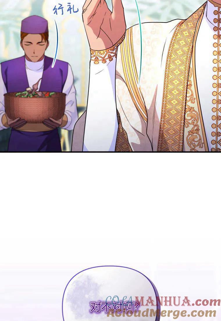 成为苏尔坦珍爱的猫咪 第29话 第69页