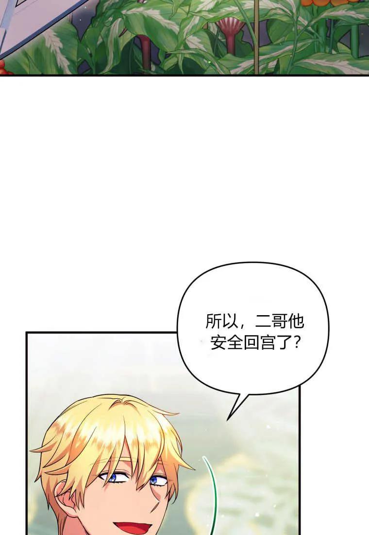 成为苏尔坦珍爱的猫咪 第29话 第51页