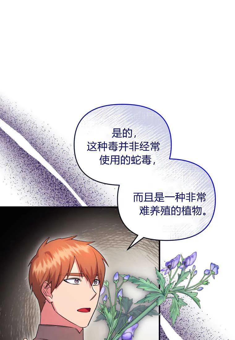 成为苏尔坦珍爱的猫咪 第29话 第26页