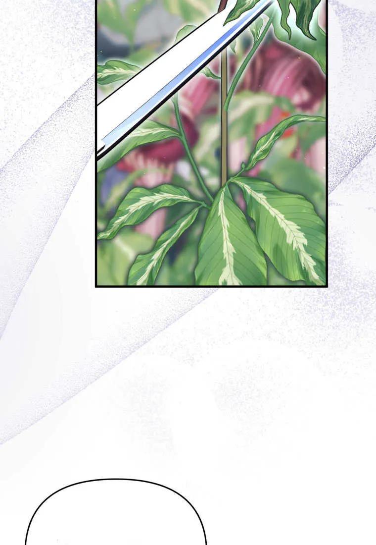 成为苏尔坦珍爱的猫咪 第29话 第55页