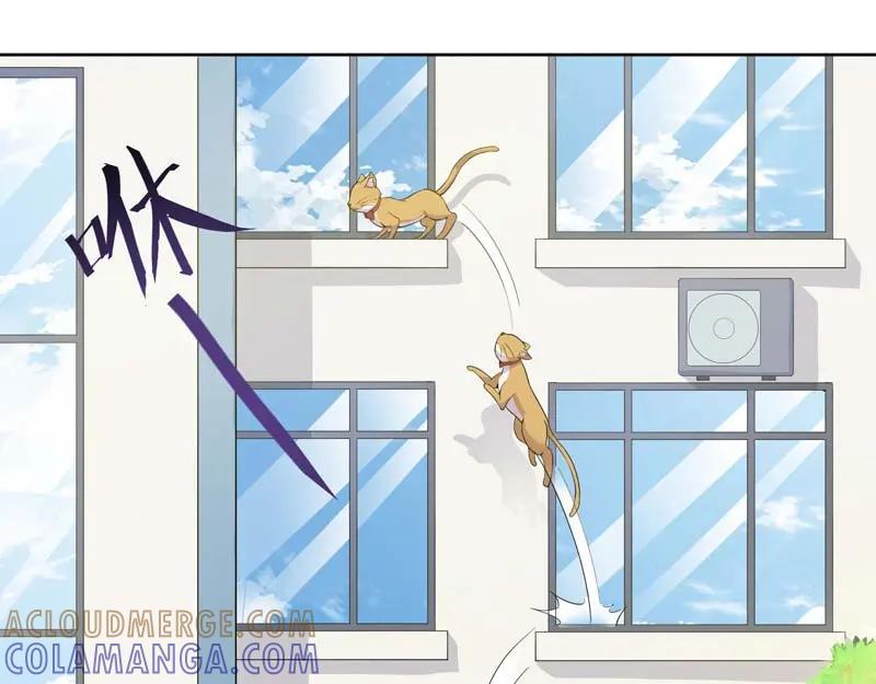 《馆禾馆：灵魂贩卖》第21话 正反拼图10 第37页