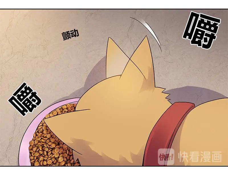 《馆禾馆：灵魂贩卖》第35话 断罪之岚01 第24页