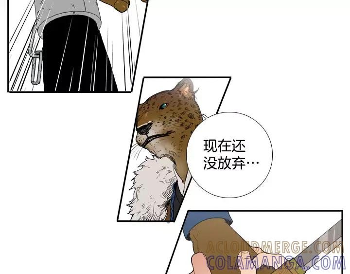 《月夜鸟鸣》第73话 第70页