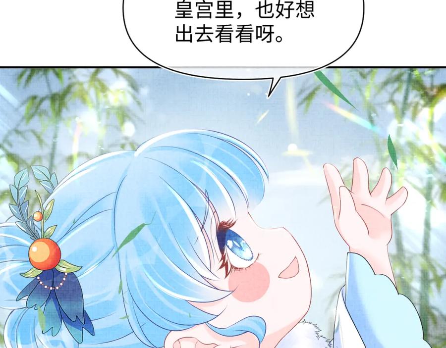鲛人崽崽三岁啦 第102话 一起出宫玩吧 第65页