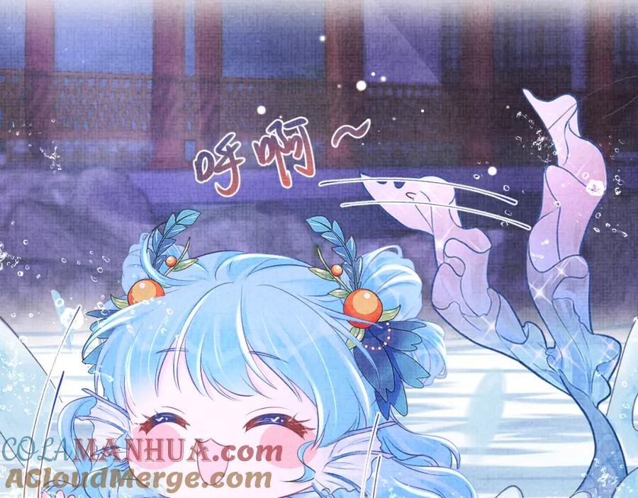 鲛人崽崽三岁啦 第109话 五皇子登场 第13页
