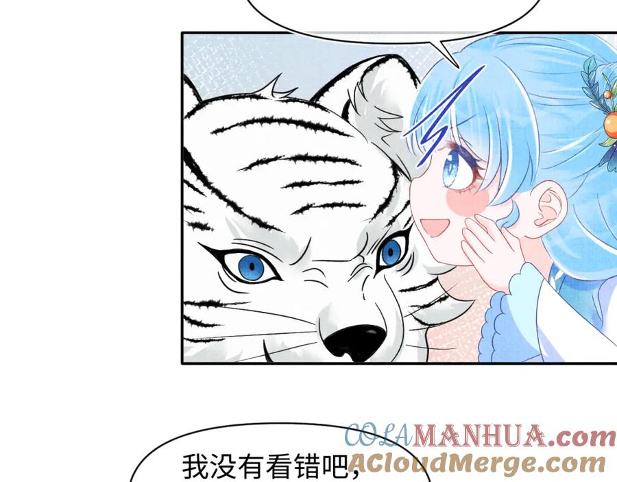 鲛人崽崽三岁啦 第128话 各国比试大会 第73页
