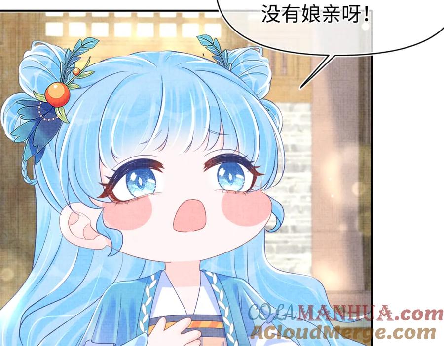 鲛人崽崽三岁啦 第147话 给二皇子的生日惊喜 第17页