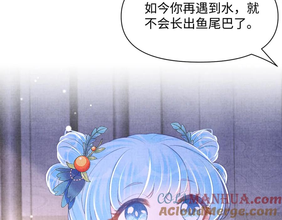 鲛人崽崽三岁啦 第149话 娇娇当众入水？ 第101页