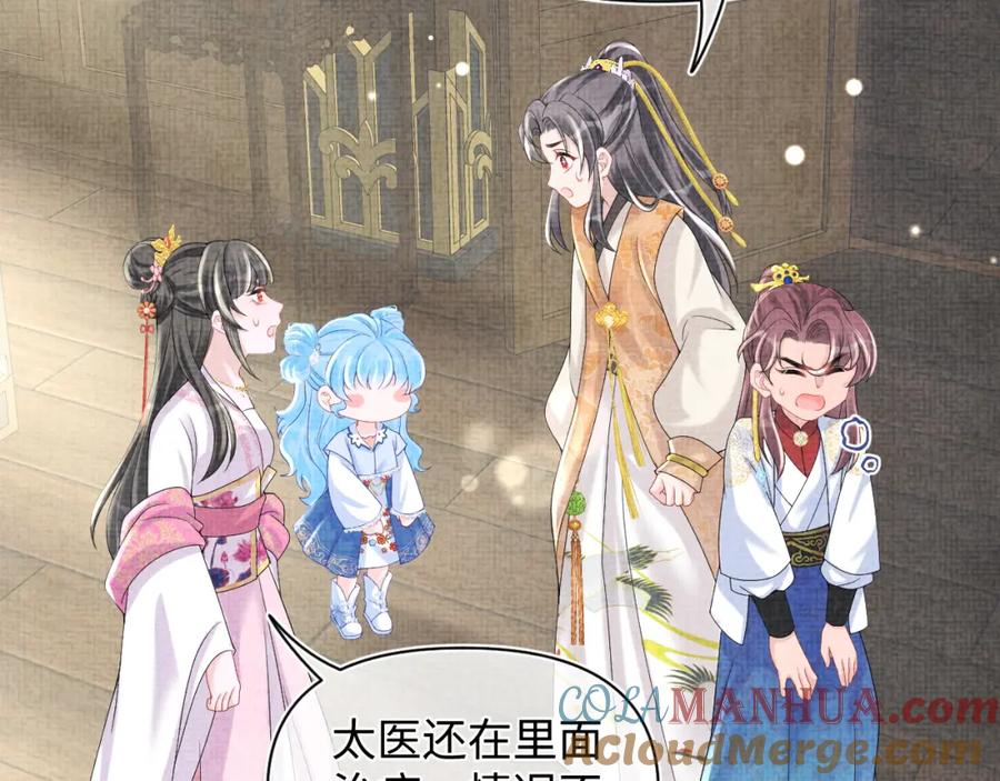 鲛人崽崽三岁啦 第73话 皇帝遇刺重伤！ 第29页