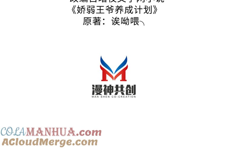 《娇弱王爷养成计划》第18话 流言起 第4页
