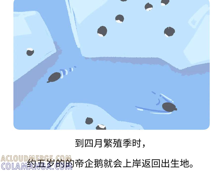 《胖达x胖达》第275话 第21页