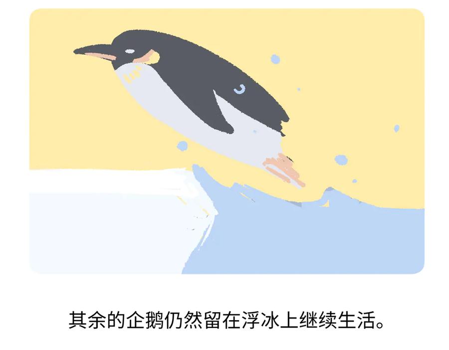 《胖达x胖达》第275话 第22页