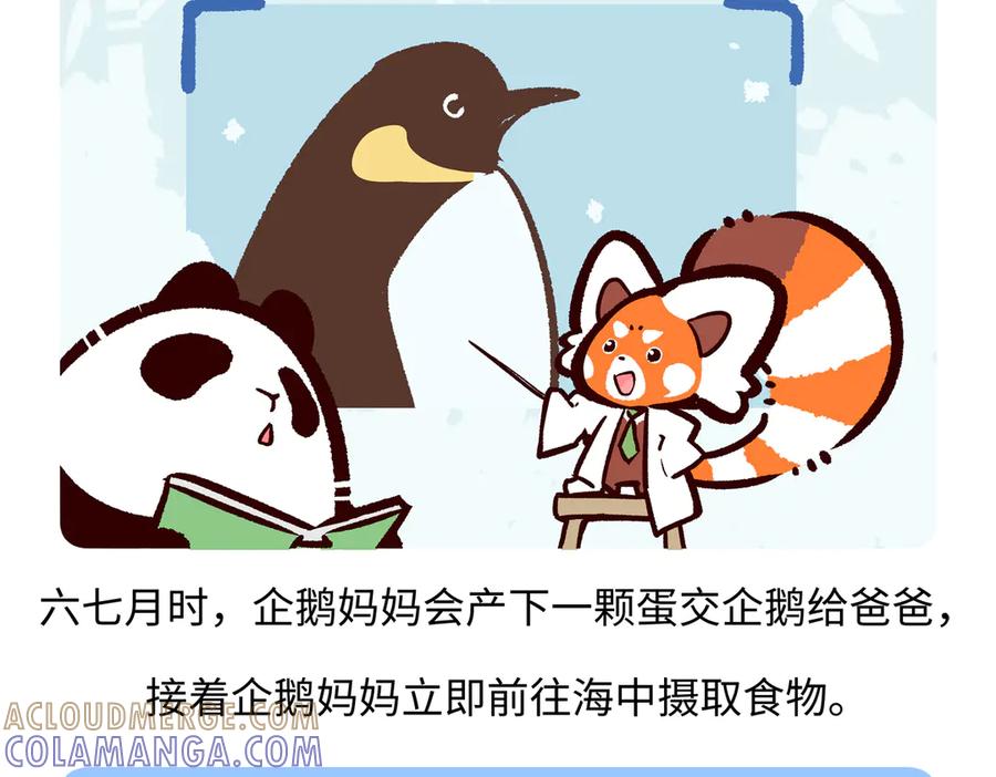 《胖达x胖达》第275话 第25页