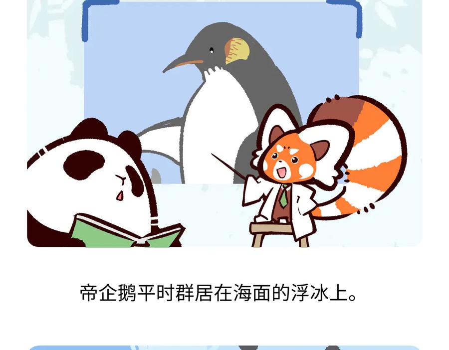 《胖达x胖达》第275话 第20页