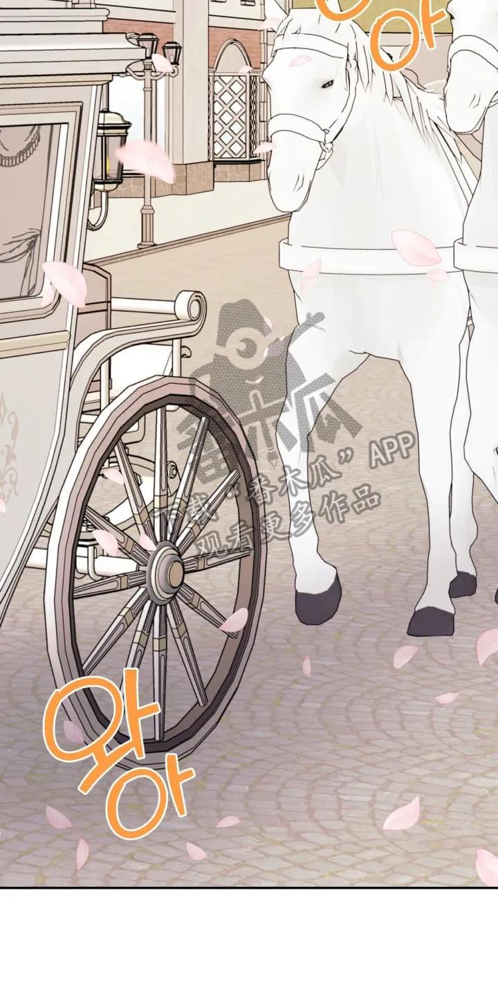 《月圆之夜的秘密》第12章：举行婚礼（完结） 第20页