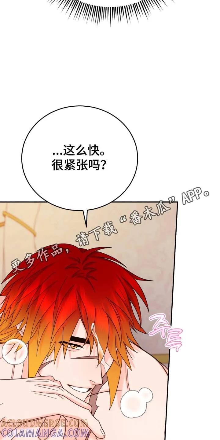 《月圆之夜的秘密》第12章：举行婚礼（完结） 第11页