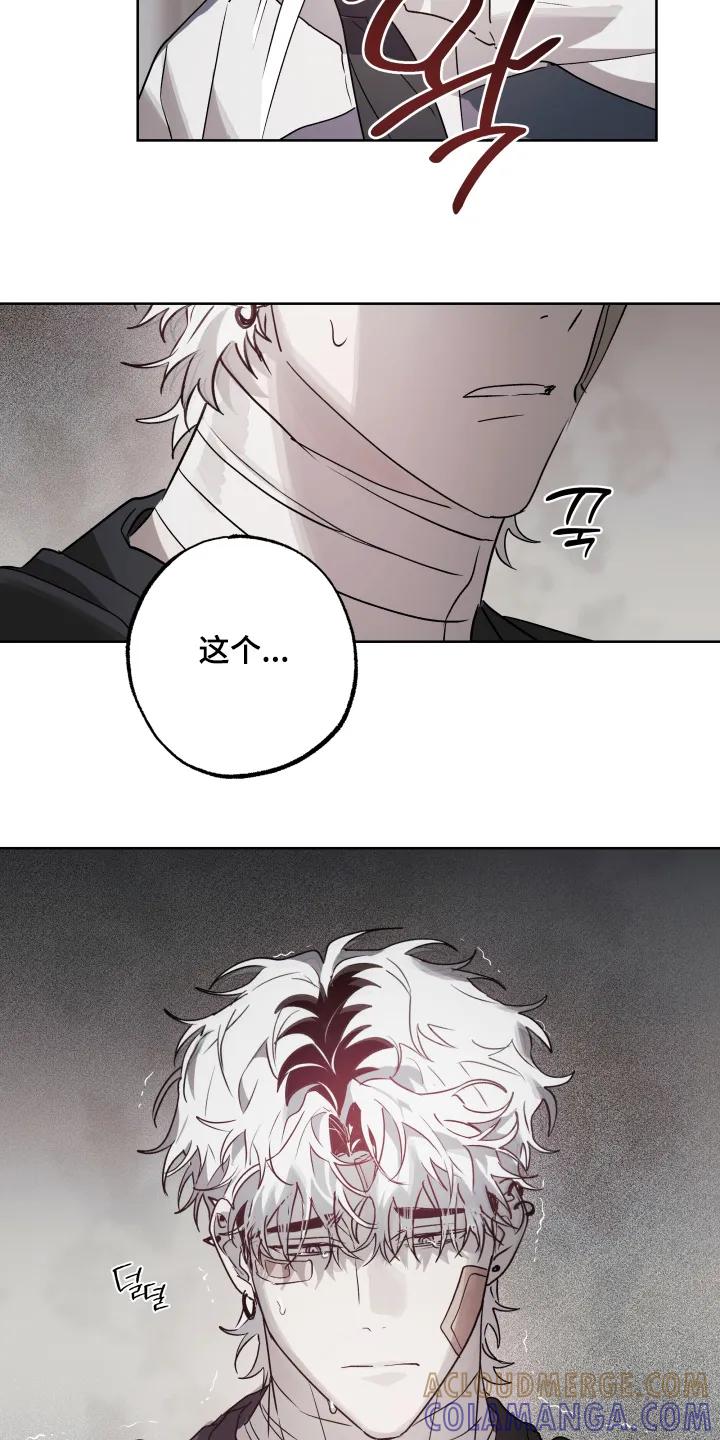 《前世梦魇》第55章：【第二季】对我很重要的人 第5页