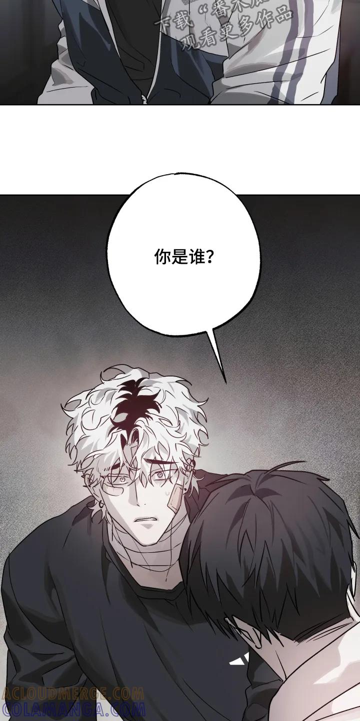 《前世梦魇》第55章：【第二季】对我很重要的人 第3页