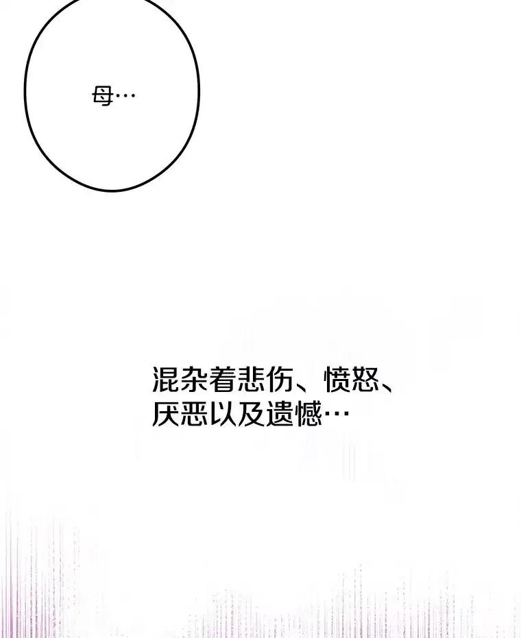 《女仆是悲惨结局收藏家》番外1.残次消亡 第128页