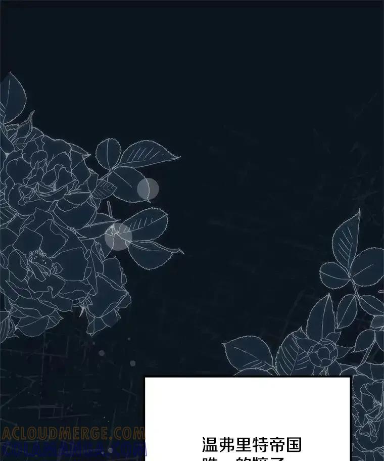 《女仆是悲惨结局收藏家》番外2.错失心情 第137页
