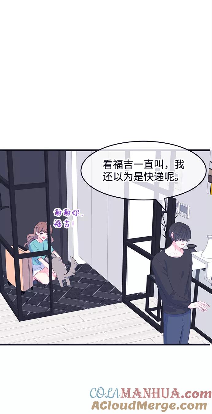 《假如生活欺骗了我们》[第62话] 仲夏夜之梦5 第43页