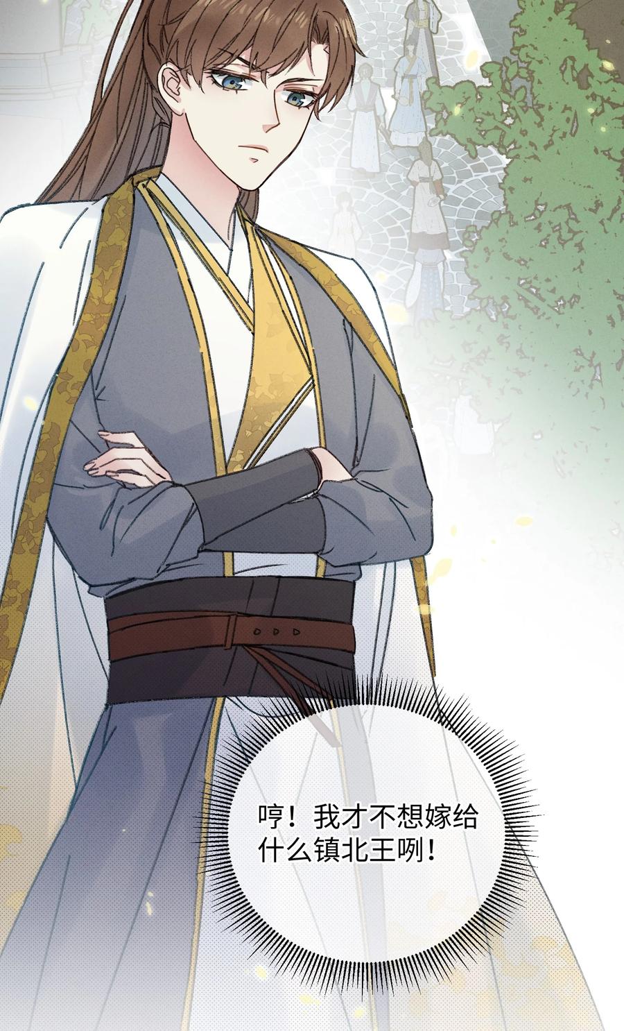 嫁入王府的我，只想搞钱 003 镇北王是谁啊，很拽么 第21页