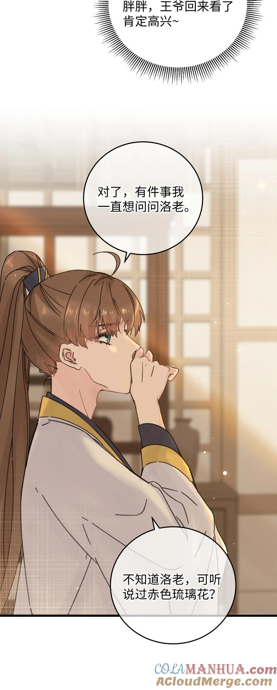 嫁入王府的我，只想搞钱 035 小猫崽会嫌弃我吗 第49页