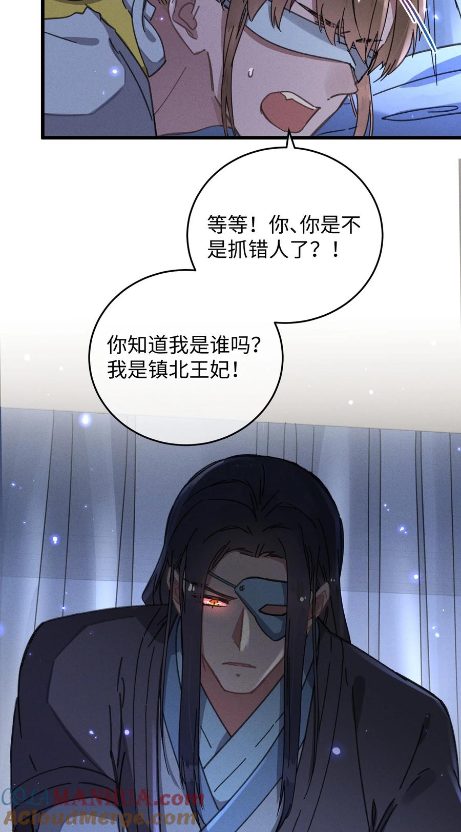 嫁入王府的我，只想搞钱 040 心魔 第46页
