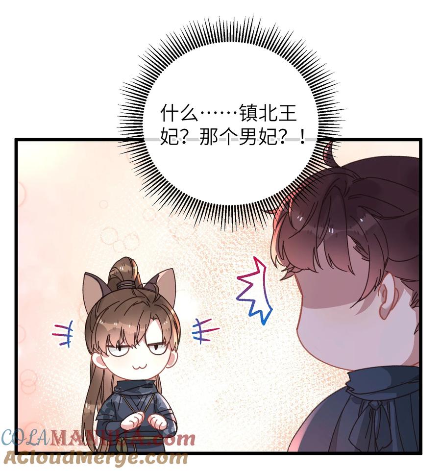 嫁入王府的我，只想搞钱 045 你对王妃有什么误解？ 第52页