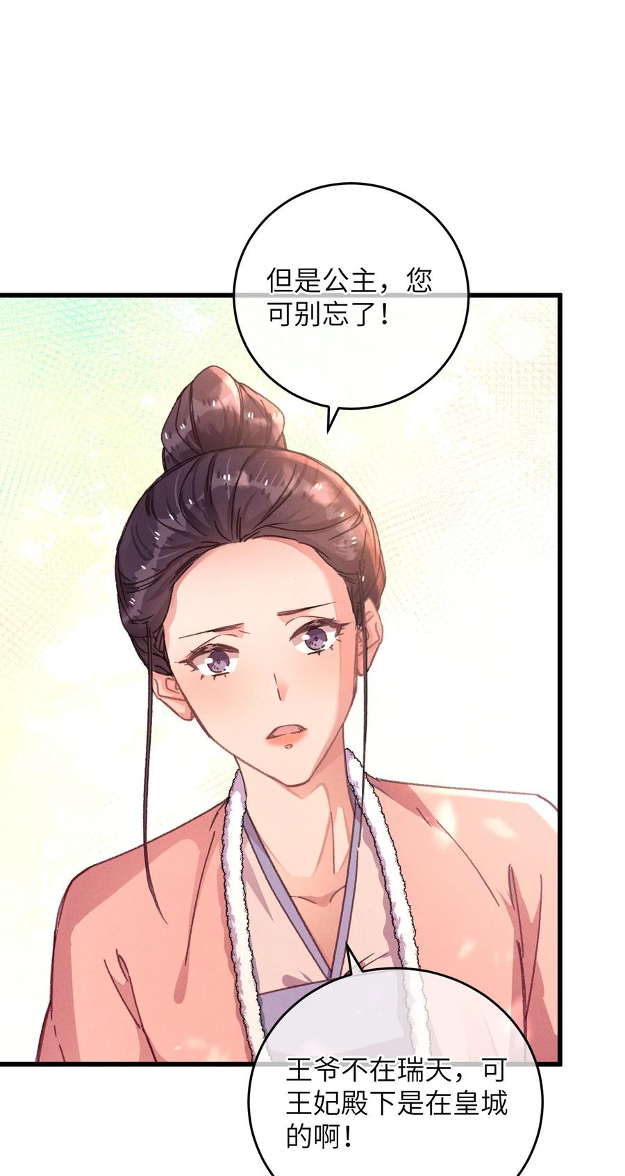 嫁入王府的我，只想搞钱 050 担忧 第26页