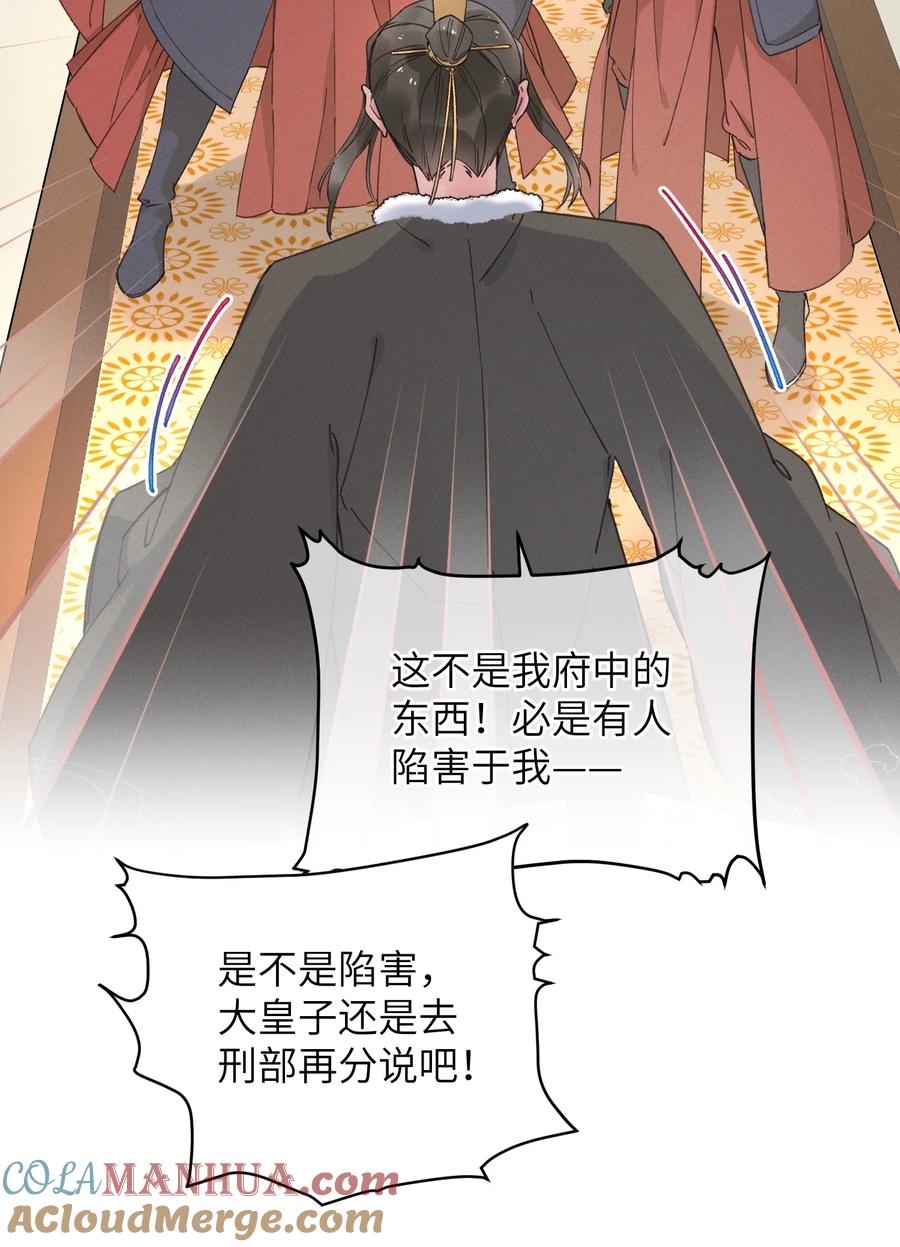 嫁入王府的我，只想搞钱 057 抽丝剥茧 第11页