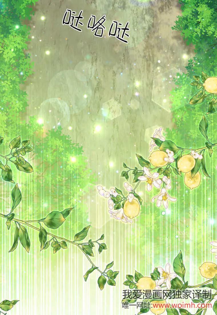 黑幕虎鲸宝宝 第31话 第75页