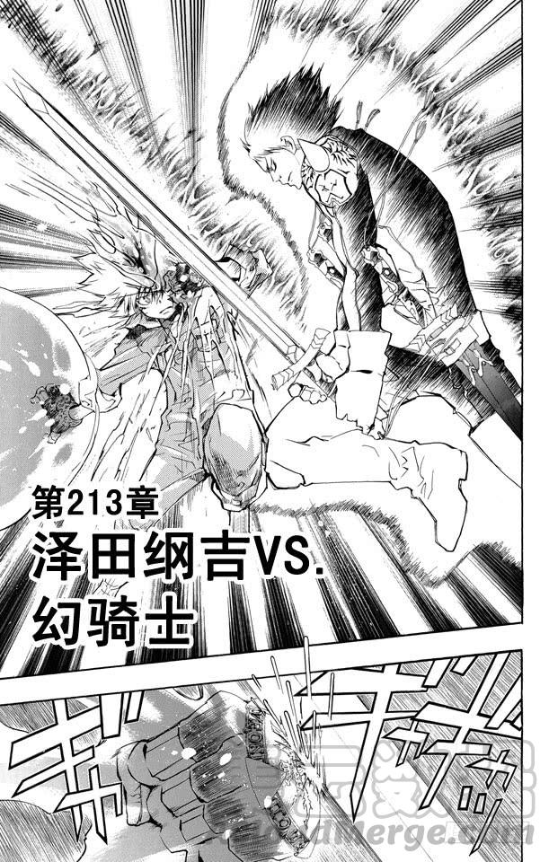 家庭教师 第213话 泽田纲吉VS.幻骑士 第1页