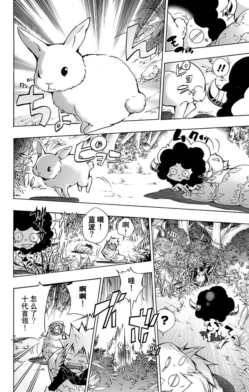 家庭教师 第309话 库洛姆骷髅与加藤朱利 第15页