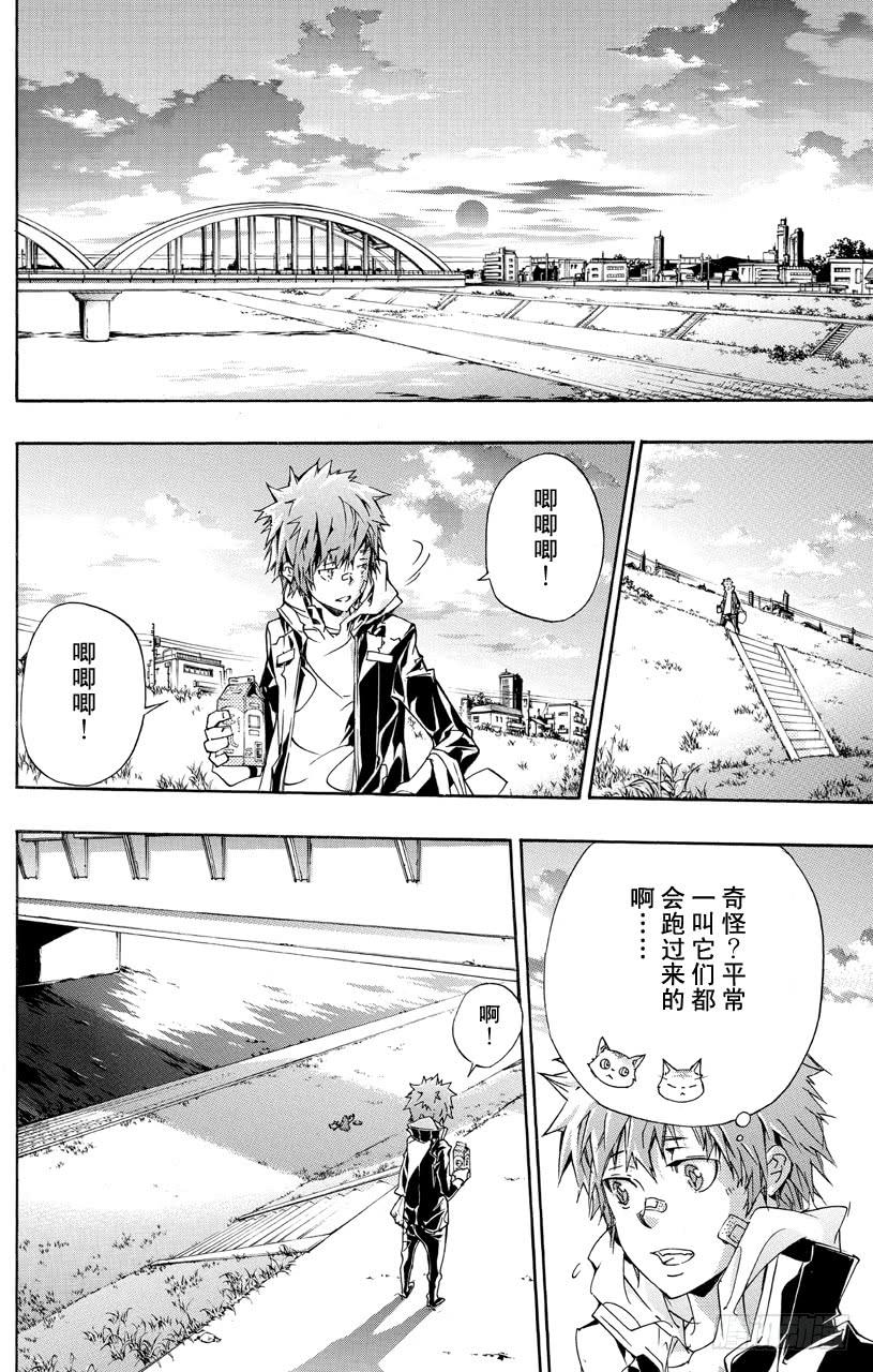 家庭教师 第351话 委托 第12页