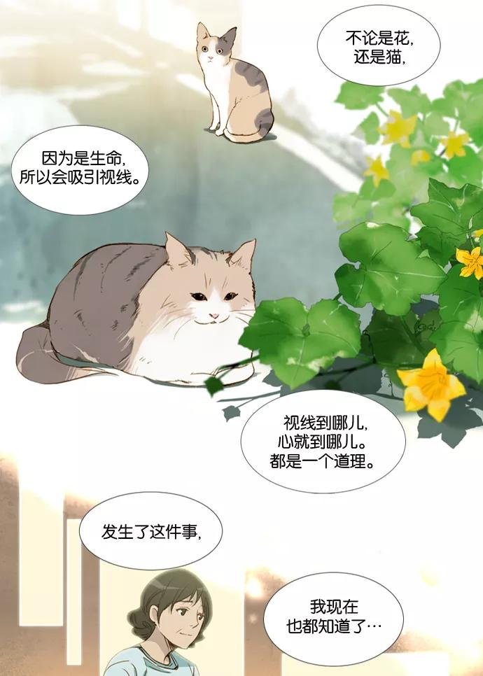 《十九岁二十一岁》[第20话] 南瓜花 第8页