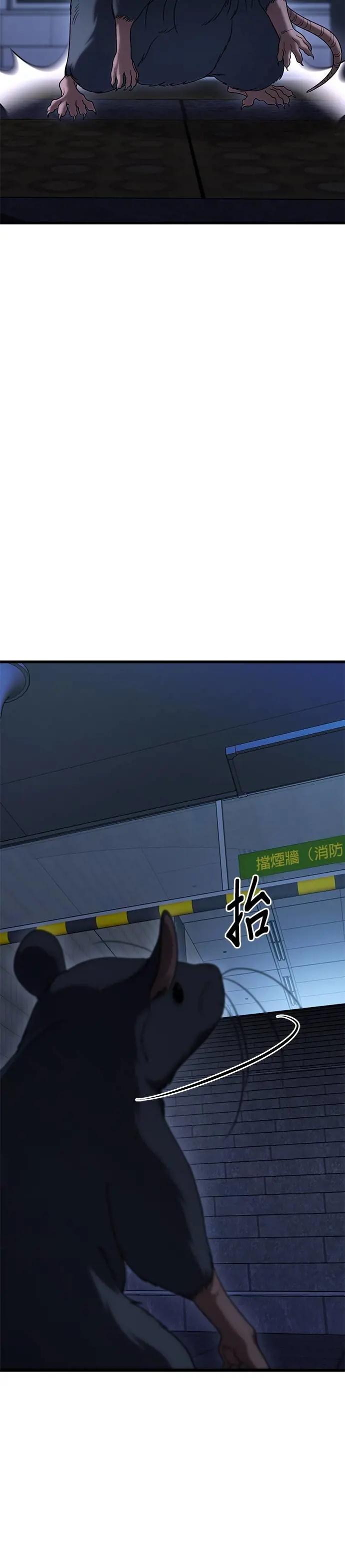 《家之王者》第21话 第66页