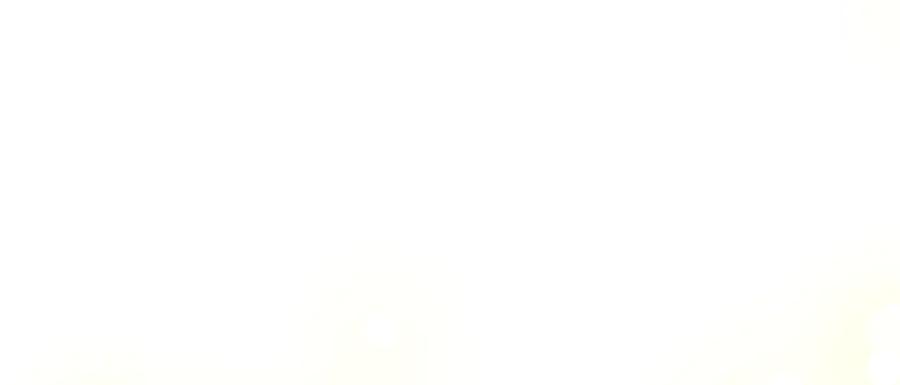 混世皇太子只对我恋爱脑 第27话 这是邀请？ 第195页