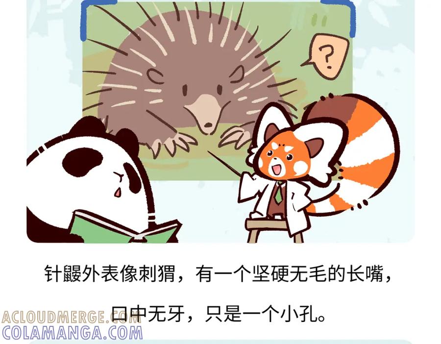 《胖达x胖达》第255话 第19页
