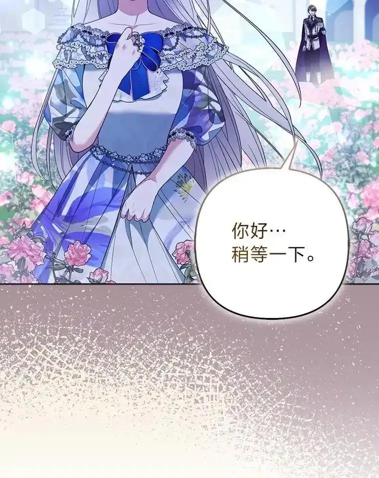 《大公家的狐狸皇女》60.化身跟踪狂 第80页
