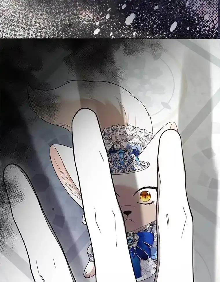 《大公家的狐狸皇女》60.化身跟踪狂 第3页