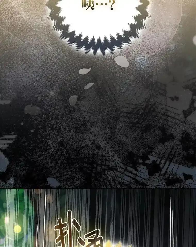 《大公家的狐狸皇女》60.化身跟踪狂 第91页