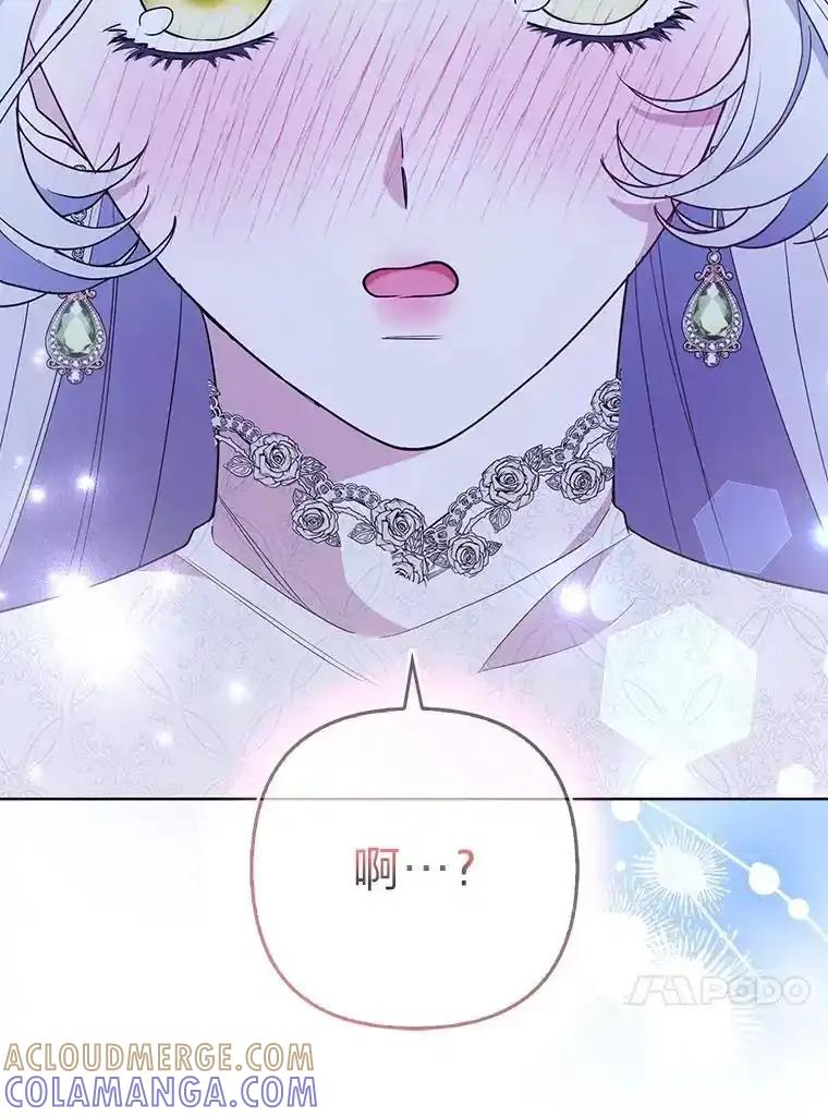 《大公家的狐狸皇女》61.误打误撞 第73页