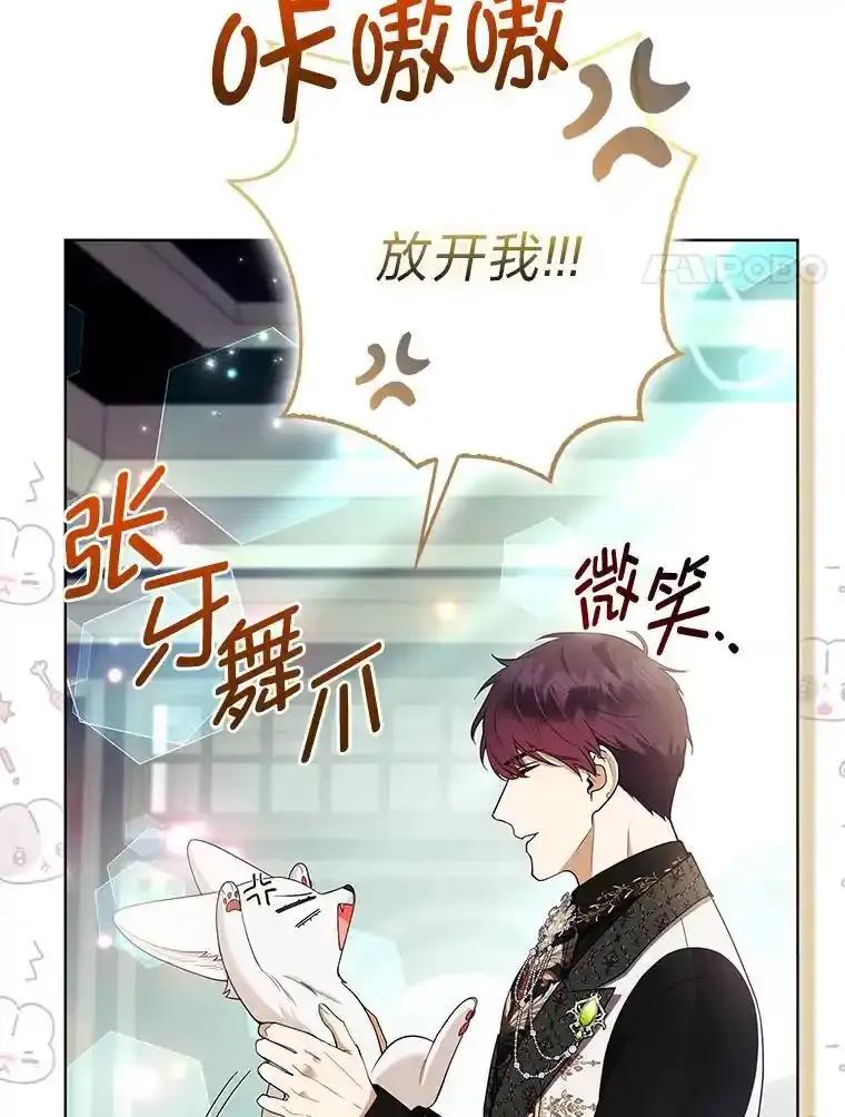 《大公家的狐狸皇女》61.误打误撞 第44页